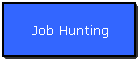 Job Hunting